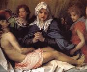 Virgin Mary lament Christ, Andrea del Sarto